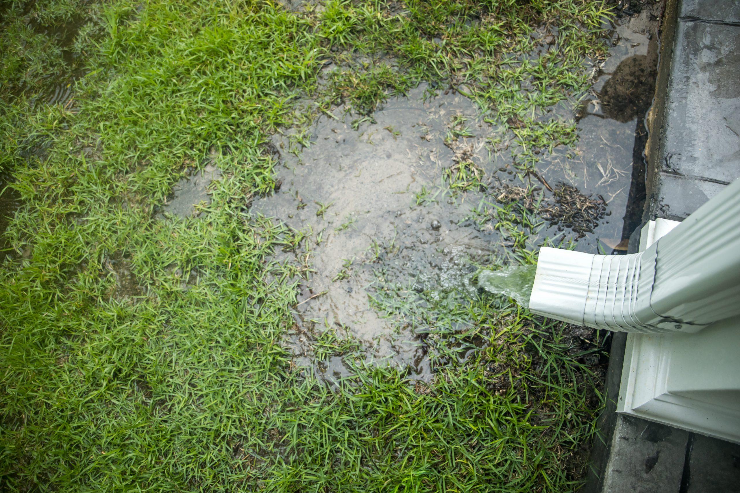 4 Most Common Drainage Problems and Their Solutions for Your Home